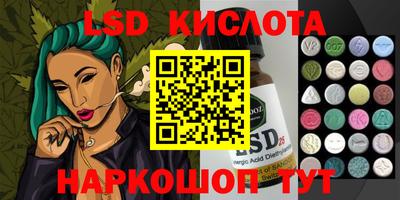 крисы Новозыбков