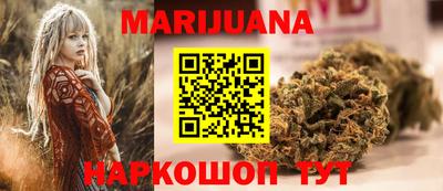крисы Новозыбков