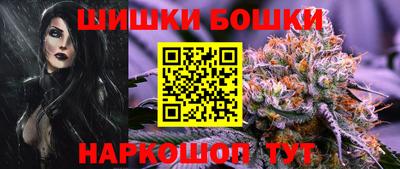 крисы Новозыбков