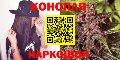 гашик Новокубанск