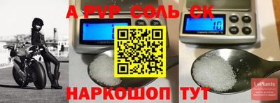 ECSTASY Новодвинск