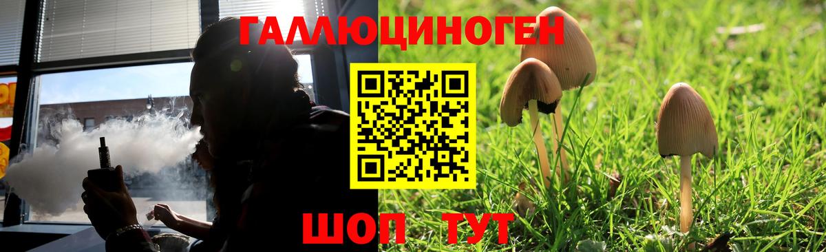 Псилоцибиновые грибы прущие грибы Кореновск